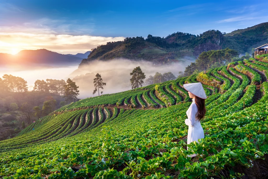 assam